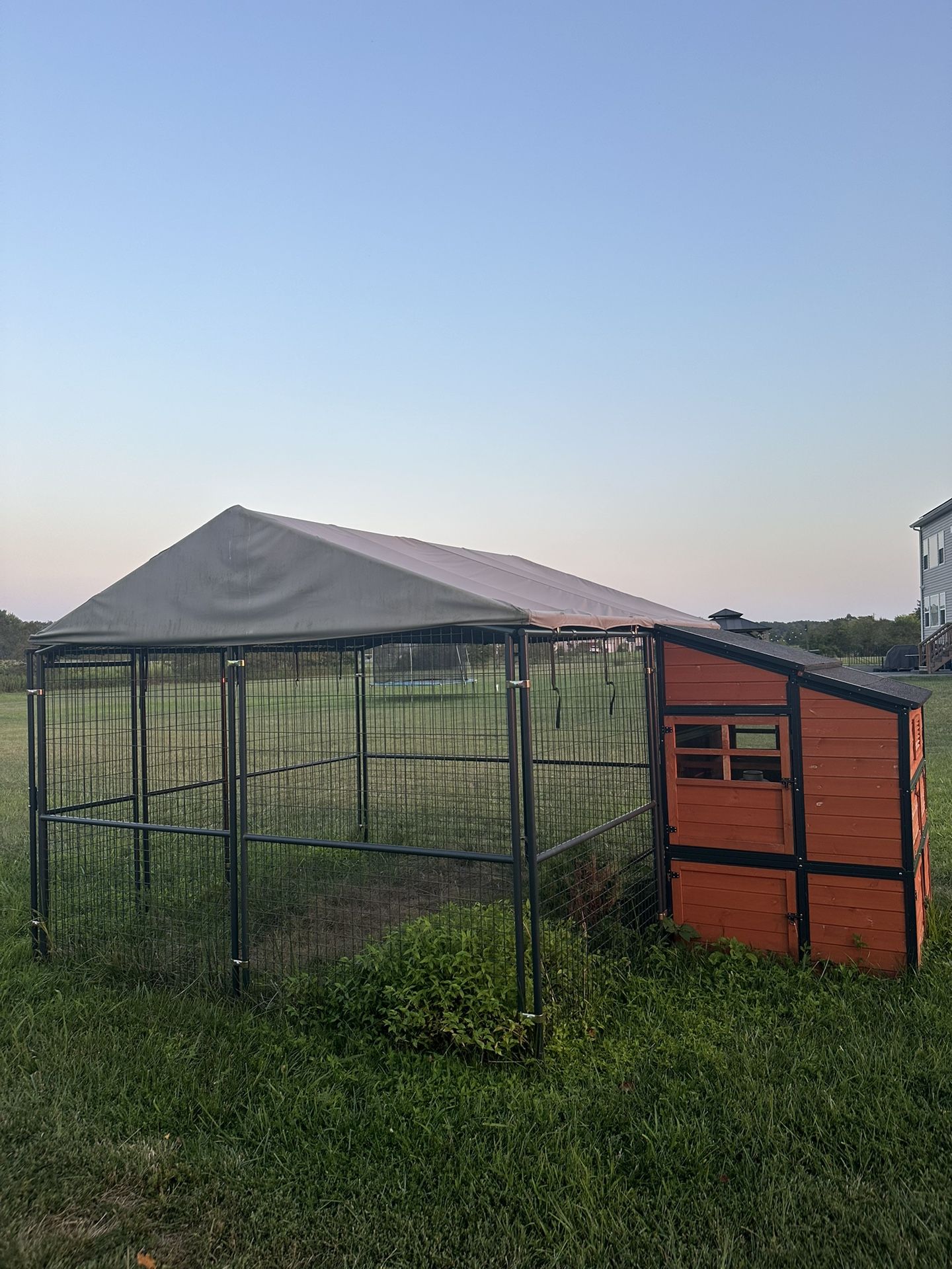 Chicken Coop