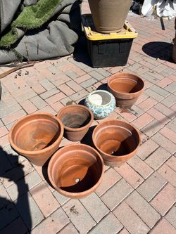 Assorted Terracotta and Ceramic Planters