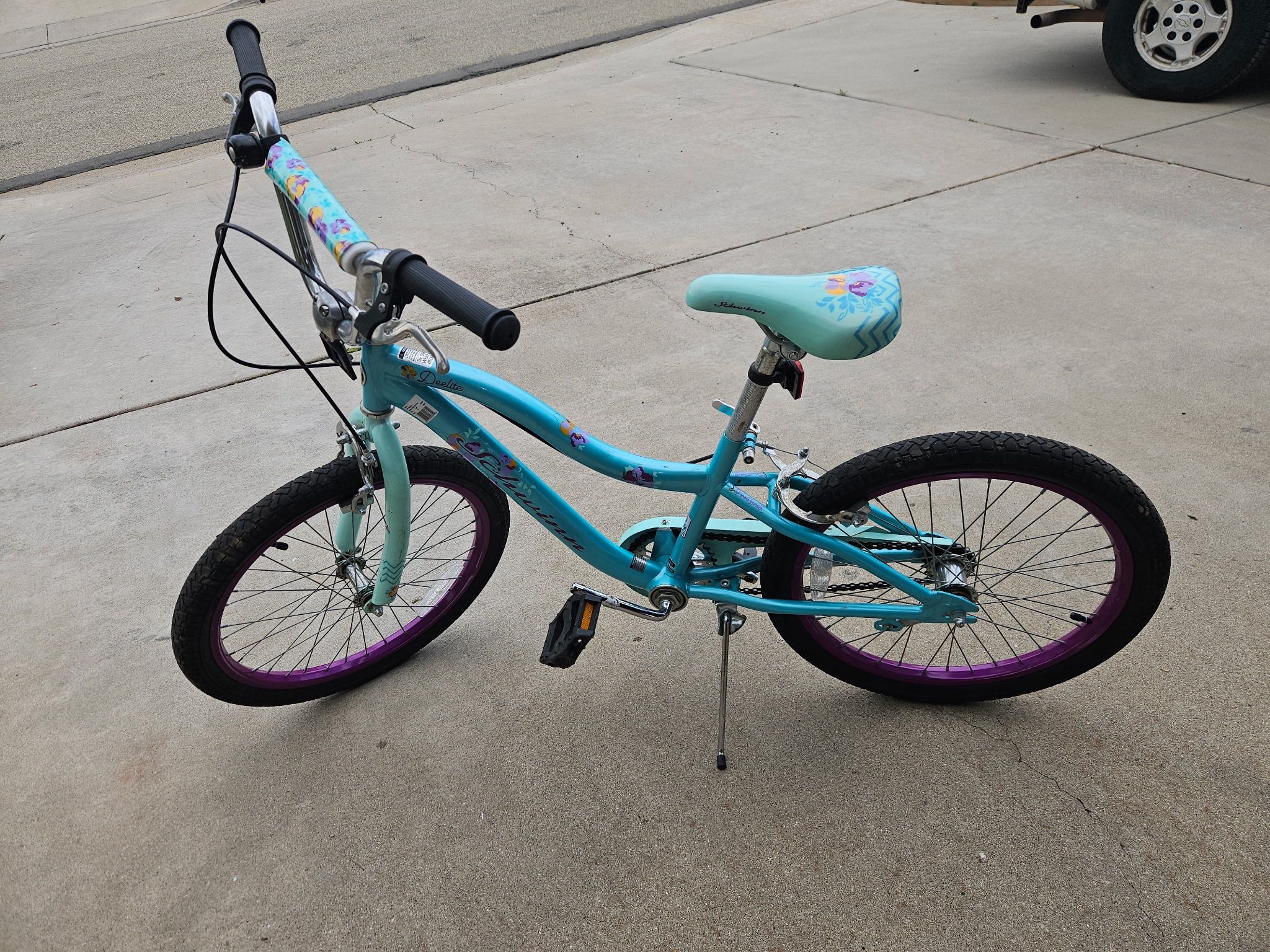 Schwin Girls Bike