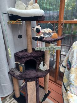 Multi-Level Cat Tree with Condo and Perches