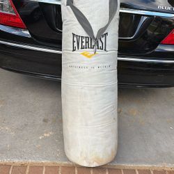 Heavy Punching Bag 50lbs
