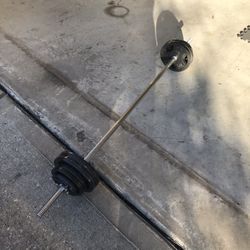 5ft Weight Bar and 2 Curl Bars