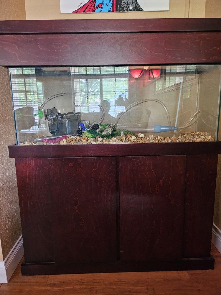 55 Gallon Fish Tank