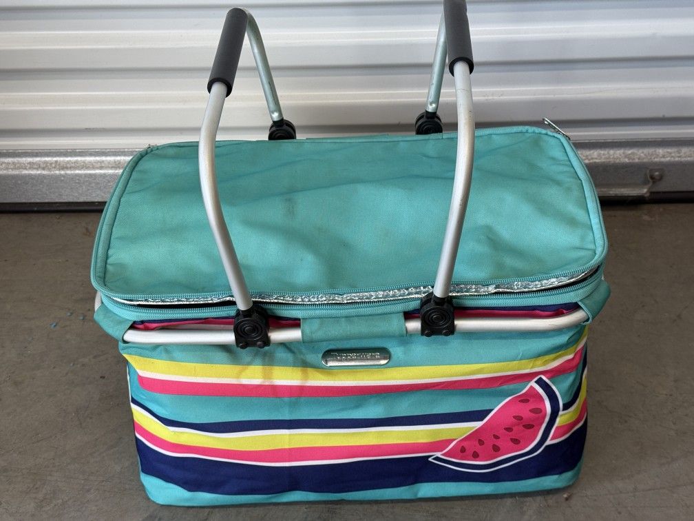 Tupperware Insulated Picnic