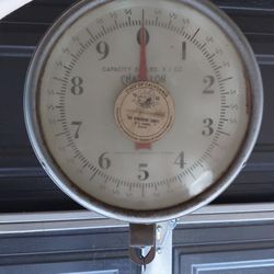 Vinatge Scale