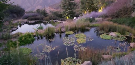 Pond Maintenance And Repairs
