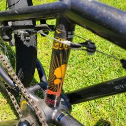 Haro Leaucadia 20in Bike