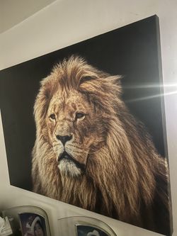 Large Lion Painting 