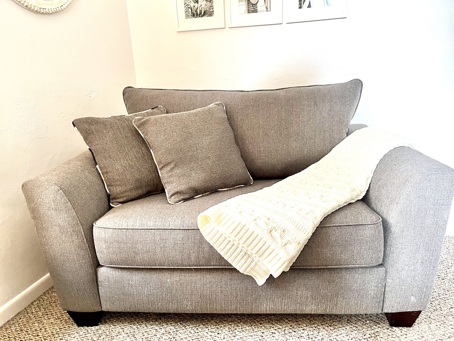 Gray Sealy Pull Out Sleeper Sofa Chair