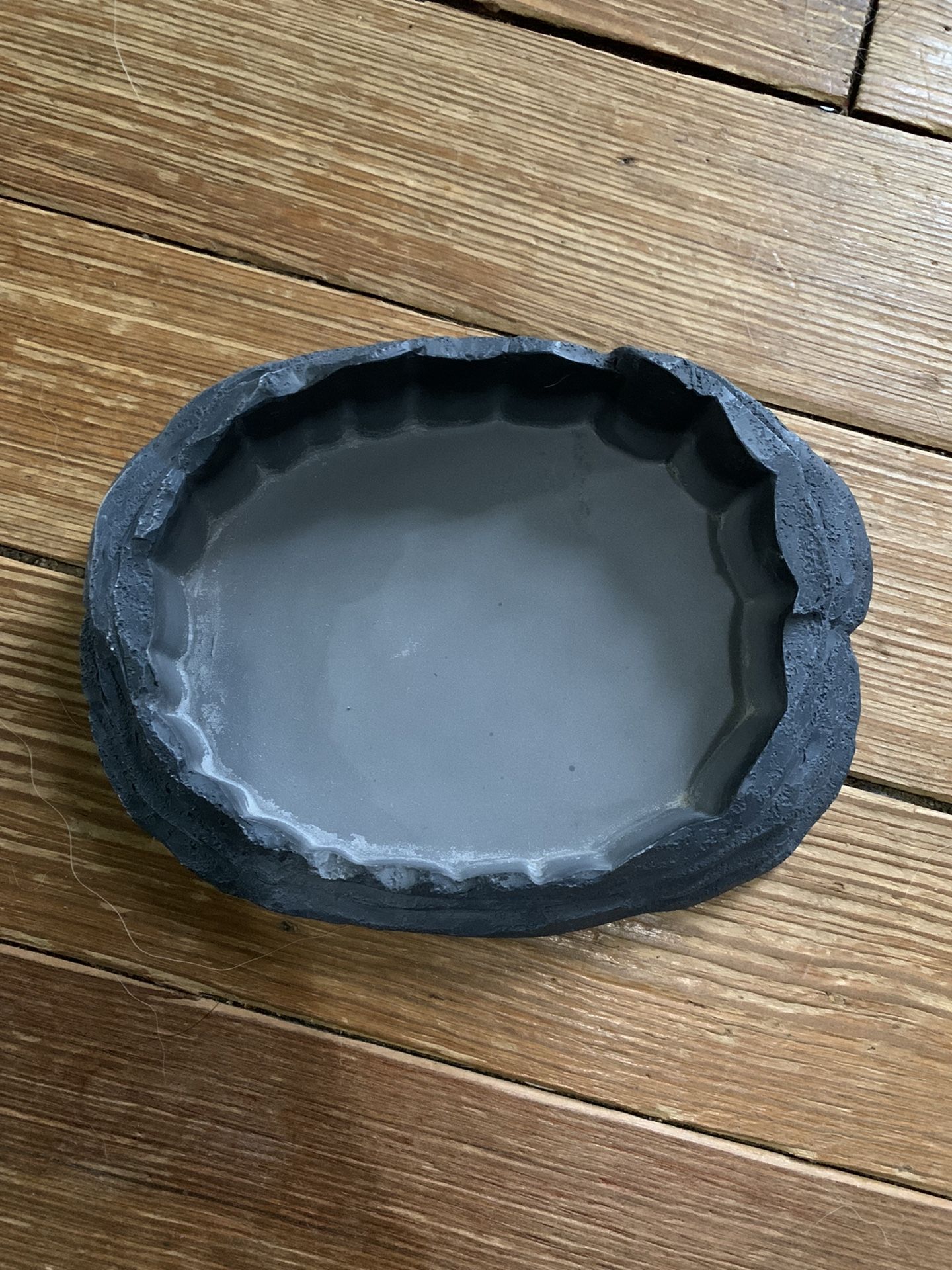 Reptile Food / Water Dish