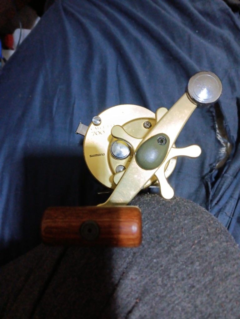 Shermano calcutta seven hundred series