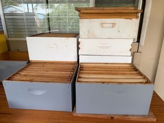 Beehives with frames