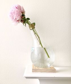 Giant eco friendly repurposed light bulb vase, upcycle flower vase, glass bud vase, upcycle home decor (not including the flower)