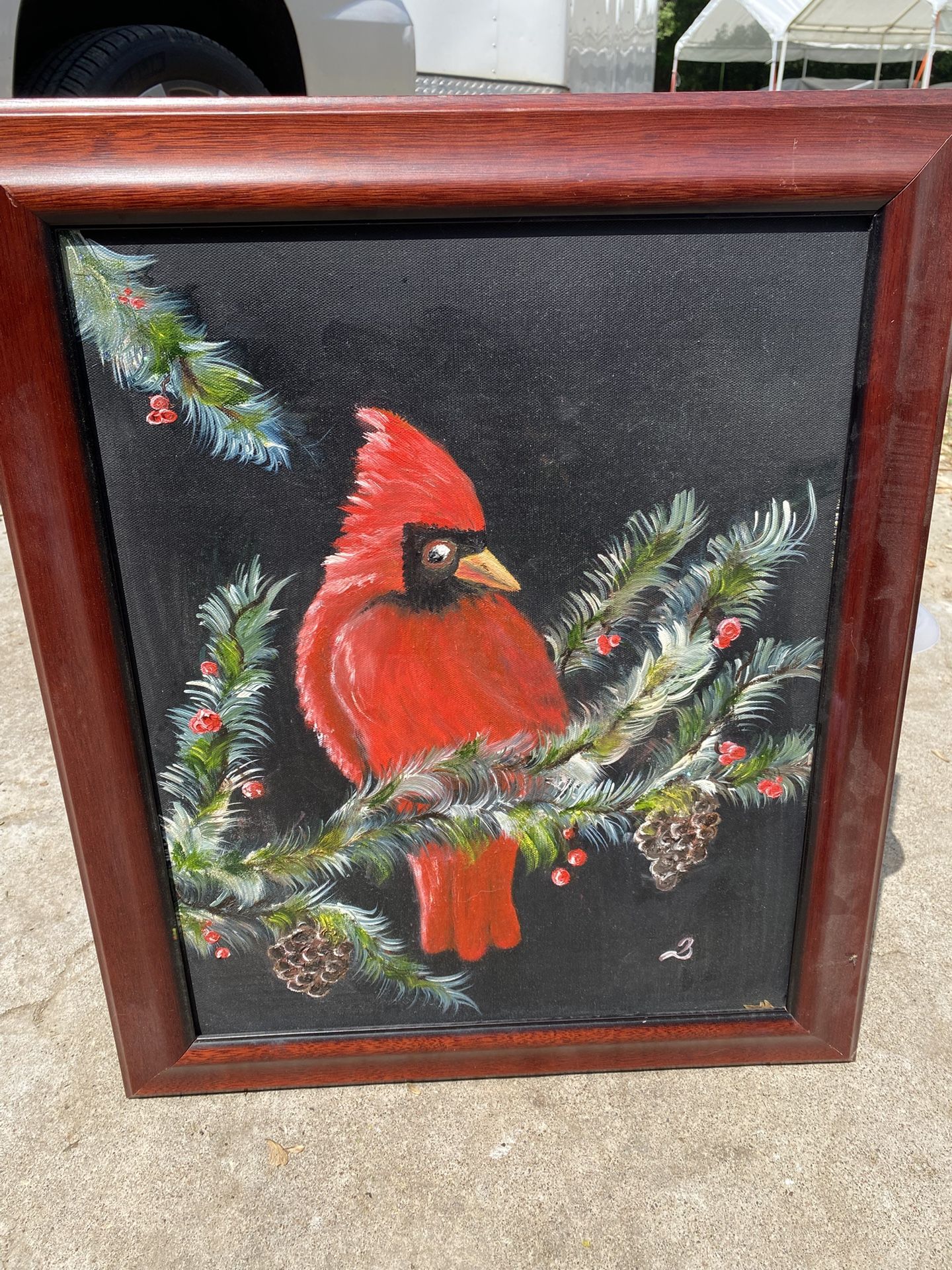 Cardinal Picture 20x24