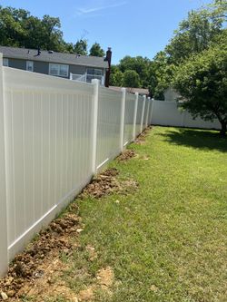 Fence 