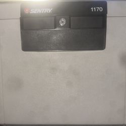 Sentry File Safe 