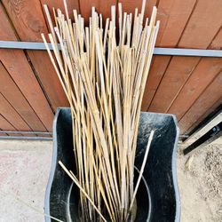 Bamboo Garden Stakes