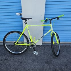 Extremely Extremely Rare 21 Inch FIXED GEAR  Cruiser  Relaigh  