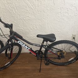 Giant Boulder Jr Bike 