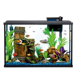 Top Fin Essentials Aquarium Starter Kit With Stand 