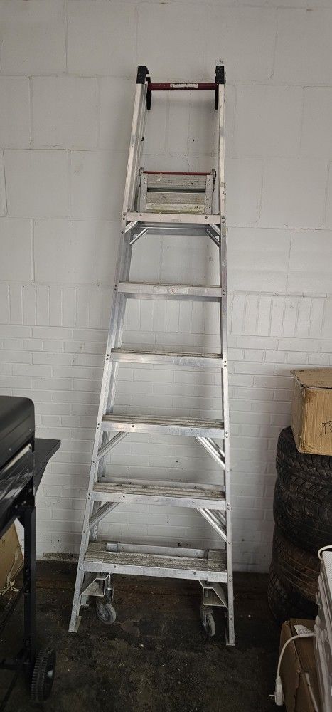 12 Foot Ladder
