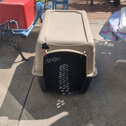 Large Dog House