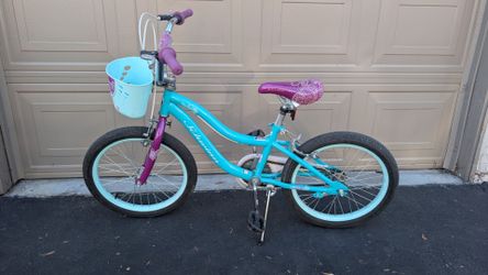 Schwinn Elm Teal Size 18