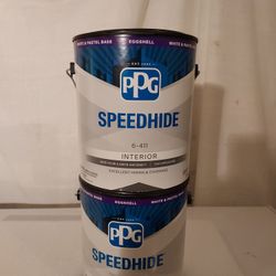 1 Gallon Cans Of PPG Paint 
