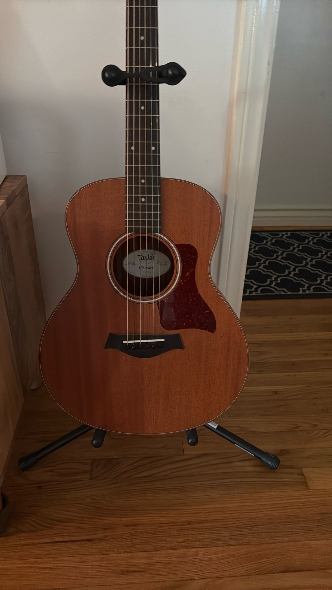 Taylor GS Mini