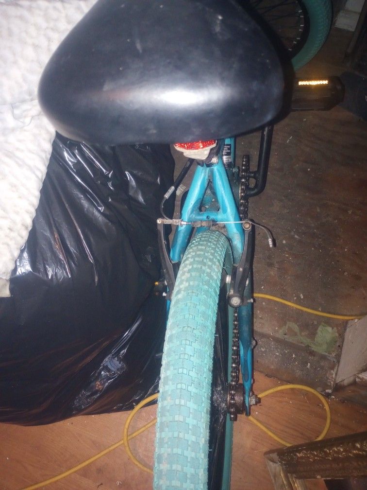 Incognito Bike