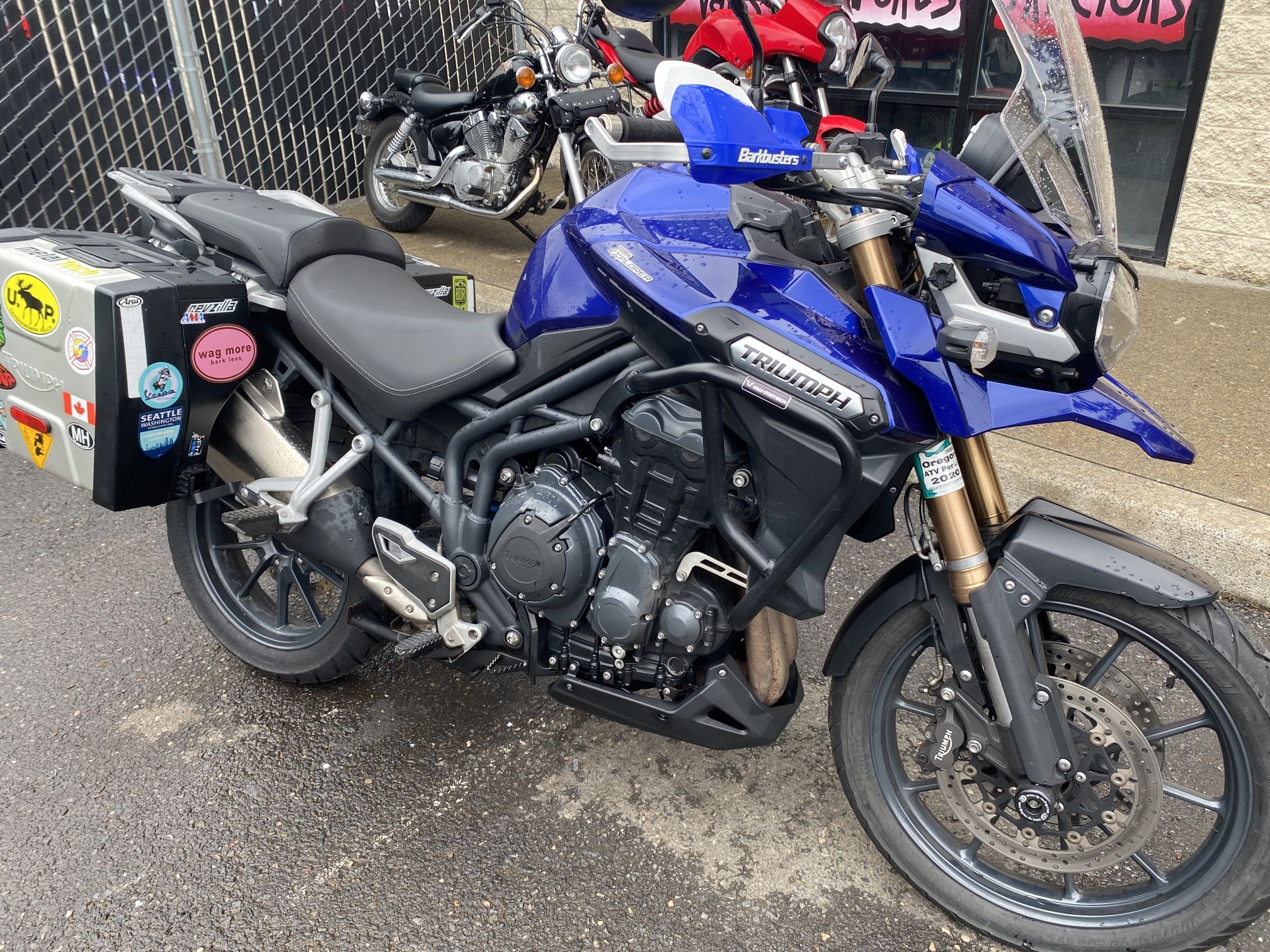 Triumph Tiger 1300 Seat (Stock)