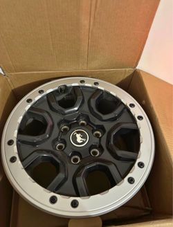 Bronco sasquatch wheels