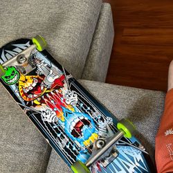 world industries skate board 