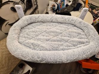 Cat Window Bed