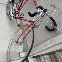 Competition Bike 