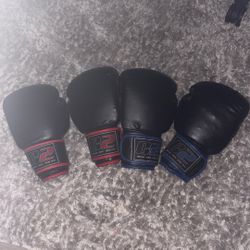 c2 boxing gloves 16oz