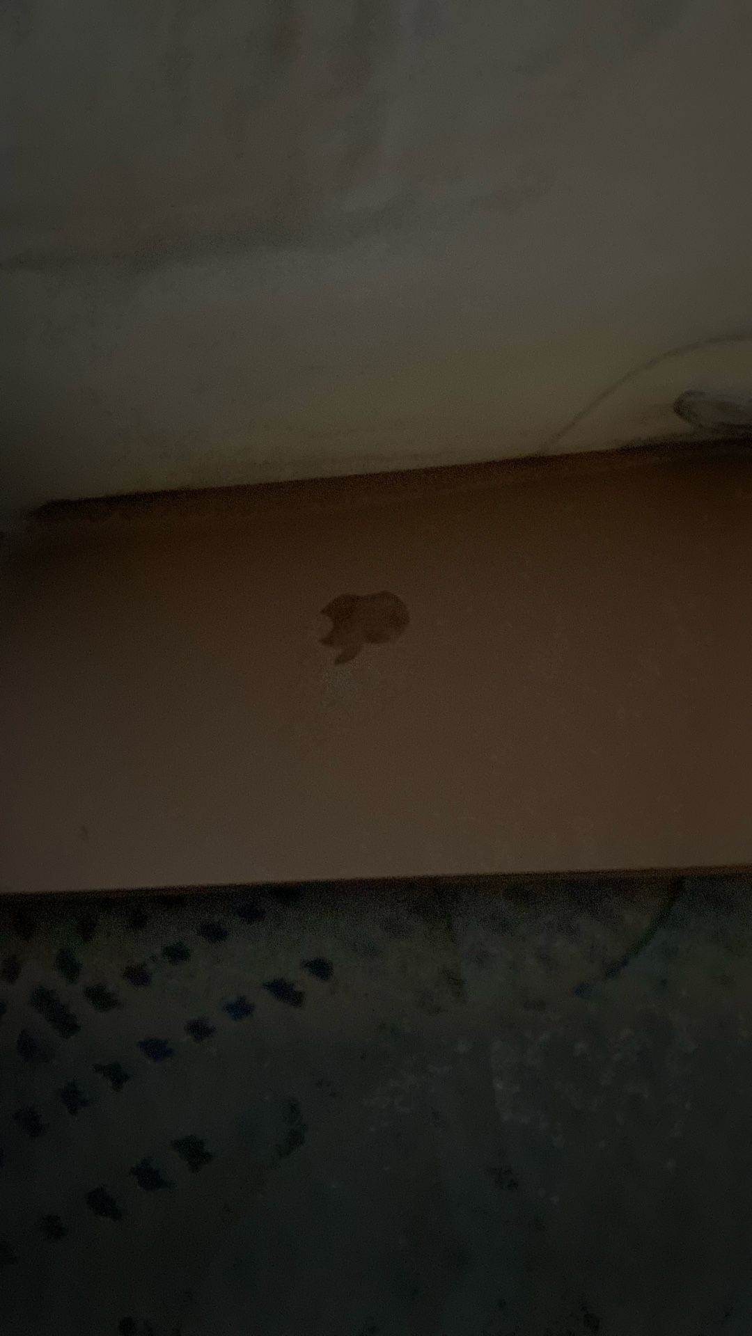 Apple MacBook