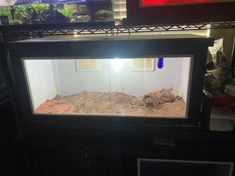 Reptile Cage