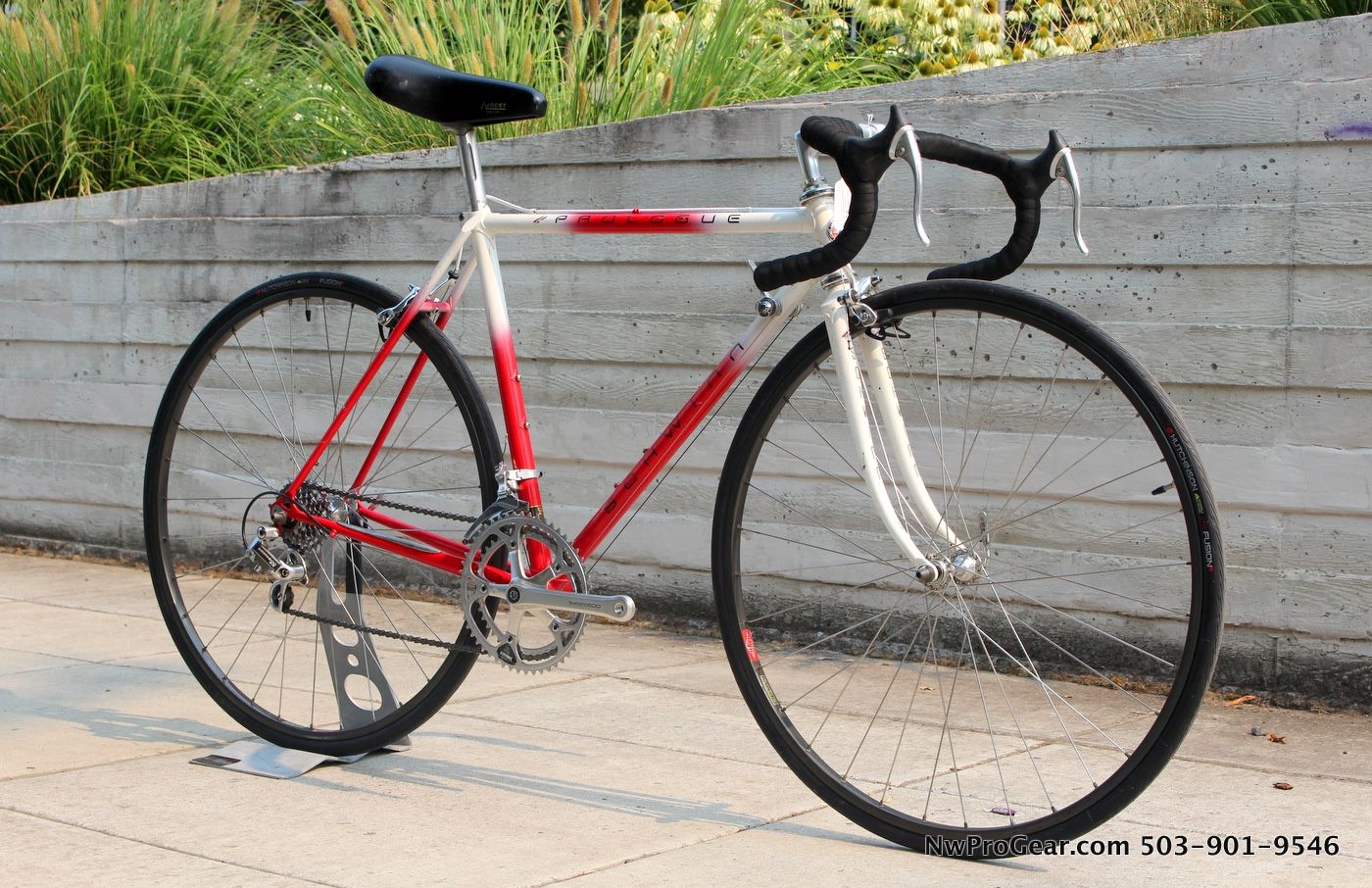 Vintage Schwinn Prologue Shimano 600 Steel Road Bike