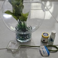 Beta Fish Starter Set 