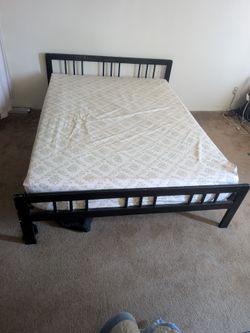 Queen Bed