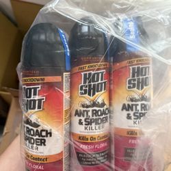 Hot Shot Ant Roach Spider Insect Killer Pack Of 3