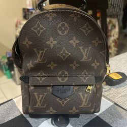 Louis Vuitton Palm Springs Mini Backpack