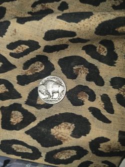 1926 buffalo nickel