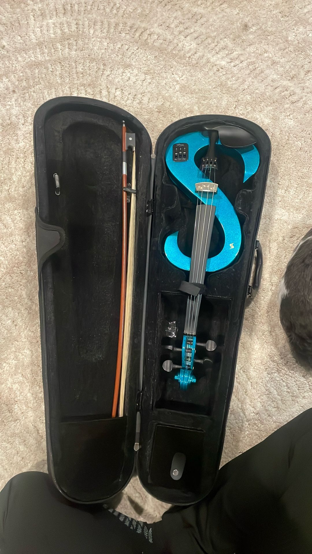 Electric Violin