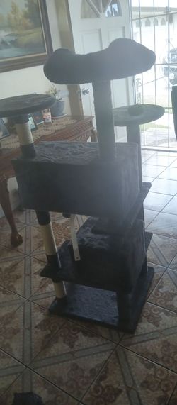 Cat play house