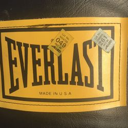Hanging Boxing Bag Everlast (Made In USA)