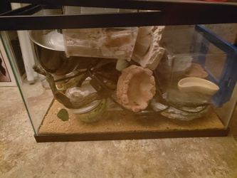Reptile terrarium