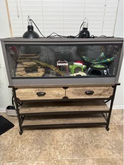 Reptile cage