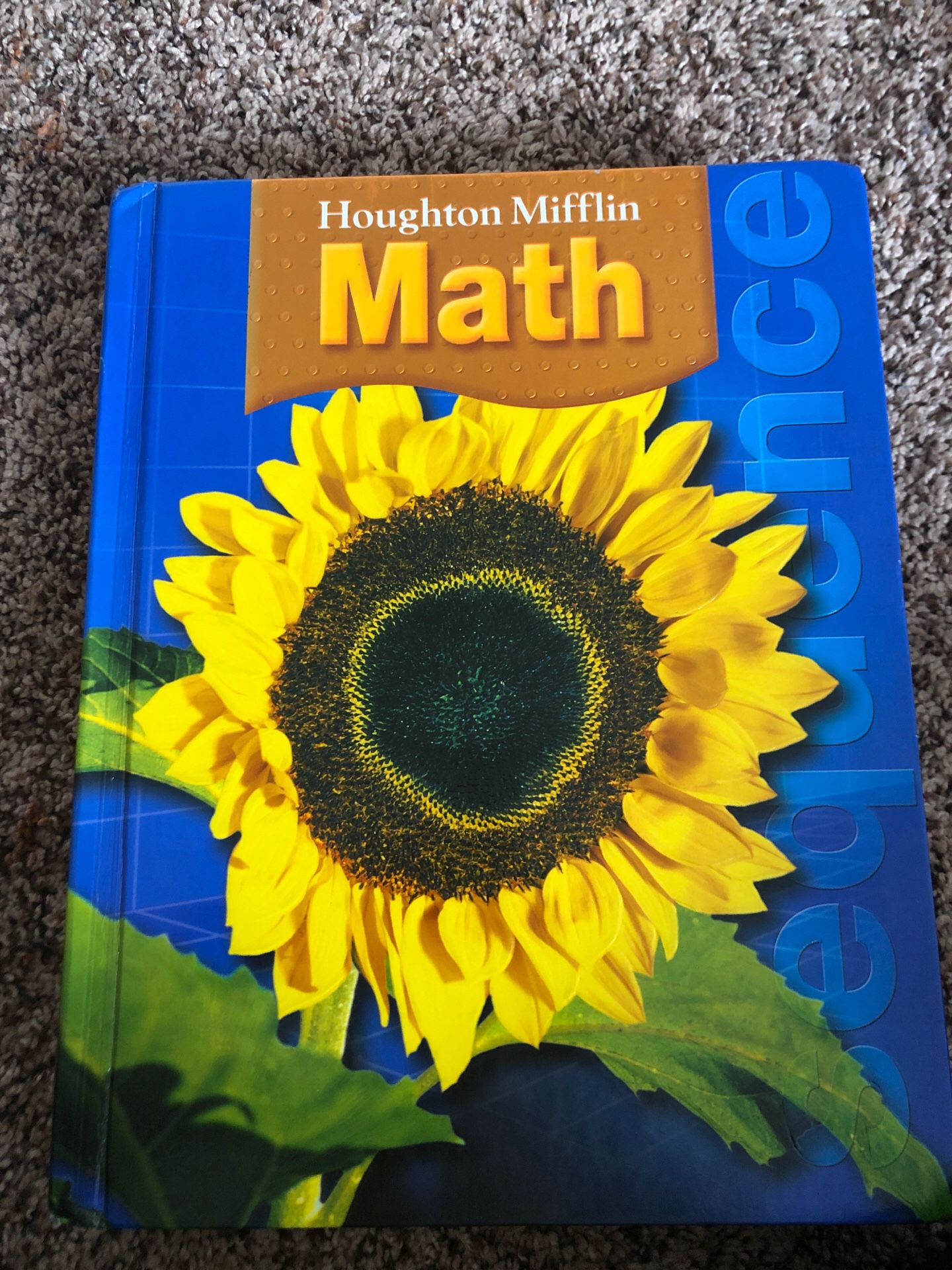 5/6 graders Houghton Mifflin Math book